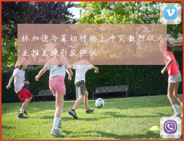 林加德与莱切特场上冲突激烈双方互推互搡引发热议