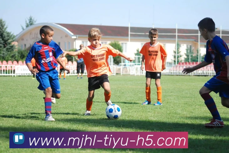 多媒体互动体验